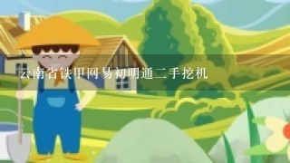 云南省铁甲网易初明通二手挖机