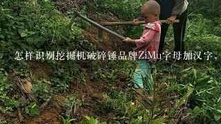 怎样识别挖掘机破碎锤品牌ZiMu字母加汉字，谢谢？