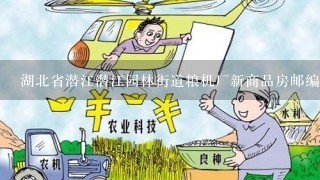 湖北省潜江潜江园林街道粮机厂新商品房邮编是什么?