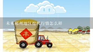 未来郴州地区挖机行情怎么样