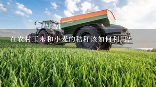在农村玉米和小麦的秸秆该如何利用？