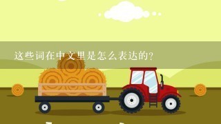 这些词在中文里是怎么表达的？